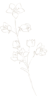backround image