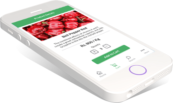 ksr vegetables